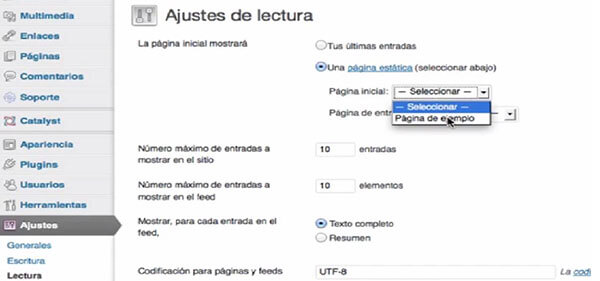 Editar pagina de inicio Editar pagina de inicio