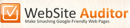 WebSite Auditor